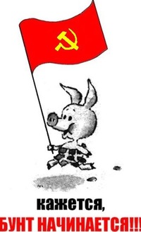 Новый Октябрь впереди!, nkolbasov, Одинцово, Ново-Спортивная д.6