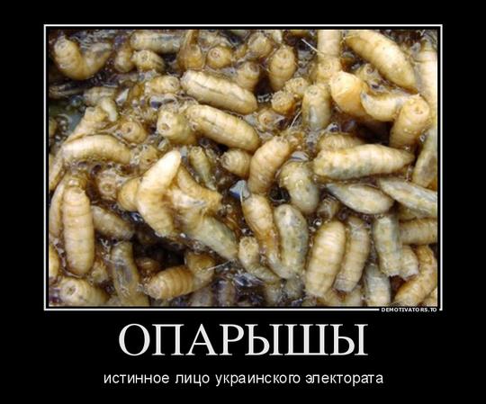 Новый раздел, Cyber100, Одинцово