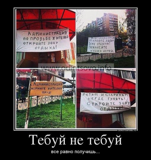 Новый раздел, Cyber100, Одинцово