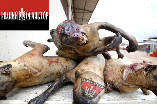 УНА УНСО ОУН смердячие псы собаки Гитлера, ac19411941, Одинцово