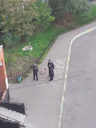 12165127 964818690242974 1011790192 o, Новый раздел, Cyber100, Одинцово