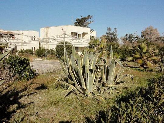 10005834 682905601767619 1341588382 o, Новый раздел, Cyber100, Одинцово