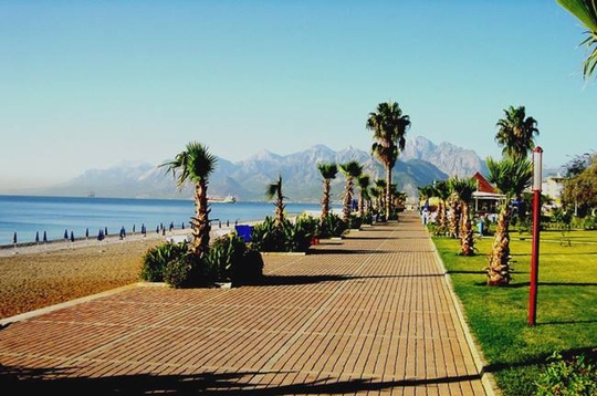 1391965 608233772568136 145444738 n, Новый раздел, Cyber100, Одинцово