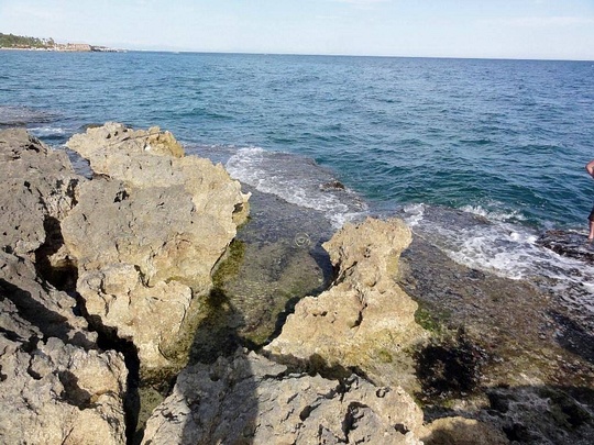 1669931 682905558434290 2037846536 o, Новый раздел, Cyber100, Одинцово