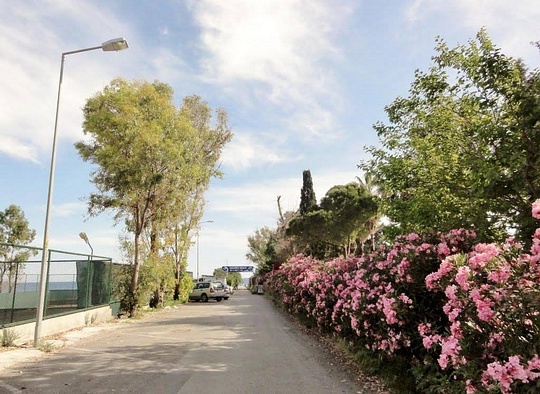 1890331 682905538434292 1971408732 o, Новый раздел, Cyber100, Одинцово