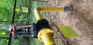 компенсатор в лесу