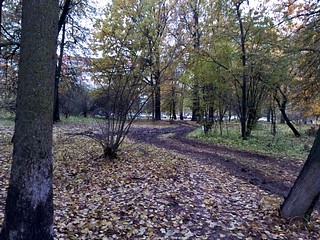 Благоустройство по — одинцовски: Ещё недавно тут была дорожка