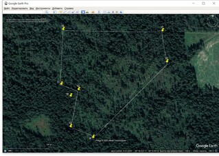 19 августа снимок не испльзован экспертом площадь вывалов 62 процента