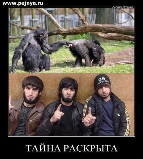 Новый раздел, Cyber100, Одинцово