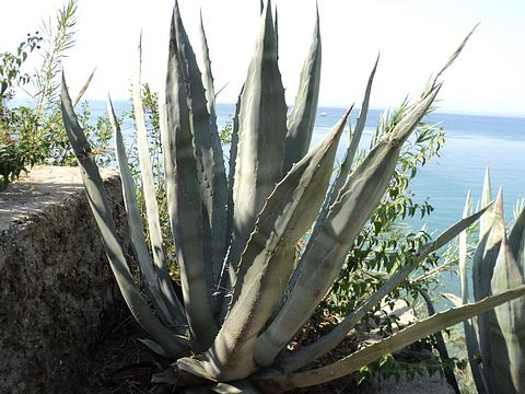 Новый раздел, Cyber100, Одинцово