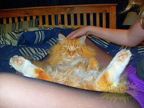 Новый раздел, Cyber100, Одинцово