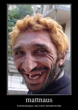 Новый раздел, Cyber100, Одинцово