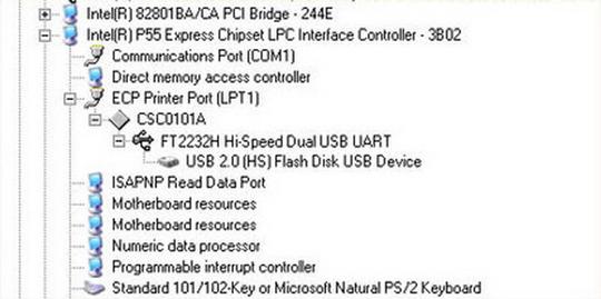 Новый раздел, Cyber100, Одинцово