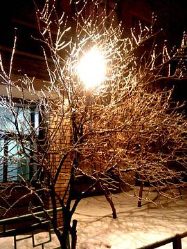 Декабрь 2010, Всякая всячина и я, Vyacheslav, Москва, метро Китай-Город, Москва