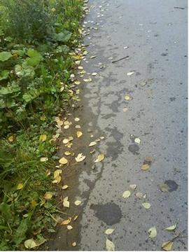 Обочина, Всякая всячина и я, Vyacheslav, Москва, метро Китай-Город, Москва