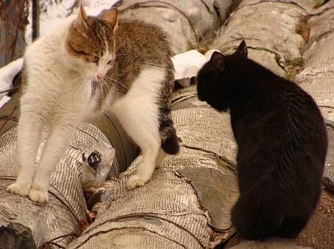 Всякая всячина и я, Vyacheslav, Москва, метро Китай-Город, Москва