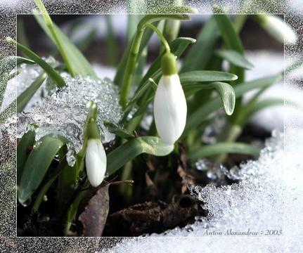 Истина. Добро. Красота., nkolbasov, Одинцово, Ново-Спортивная д.6