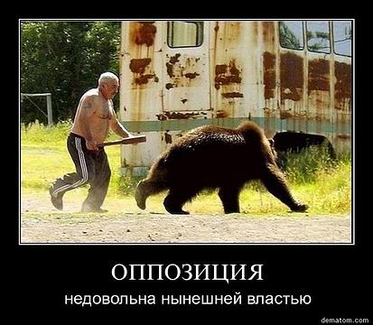 Гнать ядро!, НАРОДНОЕ ОПОЛЧЕНИЕ., nkolbasov, Одинцово, Ново-Спортивная д.6