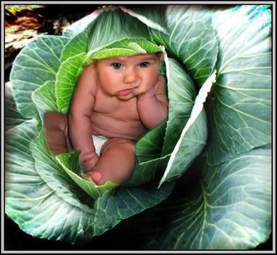 Истина. Добро. Красота., nkolbasov, Одинцово, Ново-Спортивная д.6