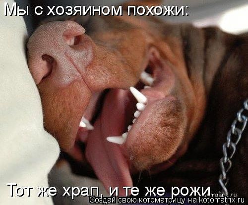 Эти забавные животные., nkolbasov, Одинцово, Ново-Спортивная д.6