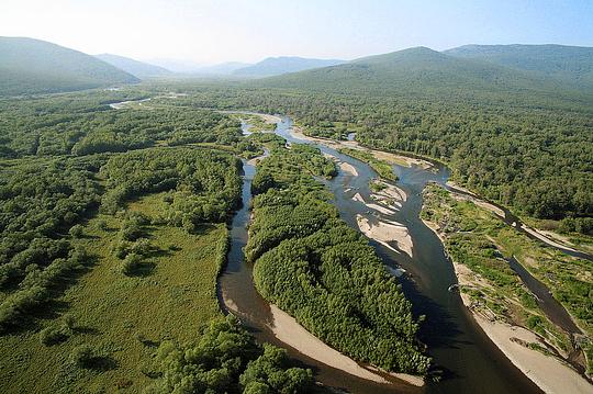 Наш лес., biostan1991, Звенигородская биостанция МГУ, Звенигородская биостанция МГУ д.12