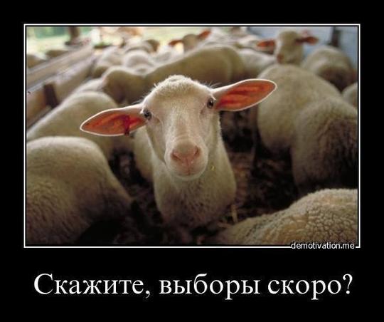 Ew, ГОЛОСУЙ ЗА КПРФ!, nkolbasov, Одинцово, Ново-Спортивная д.6