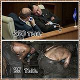 зарплаты