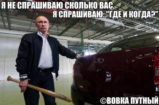 КЫЛИНЫ жабы, Goshko, Одинцово