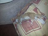 20140612_035551