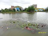 Одинцово3