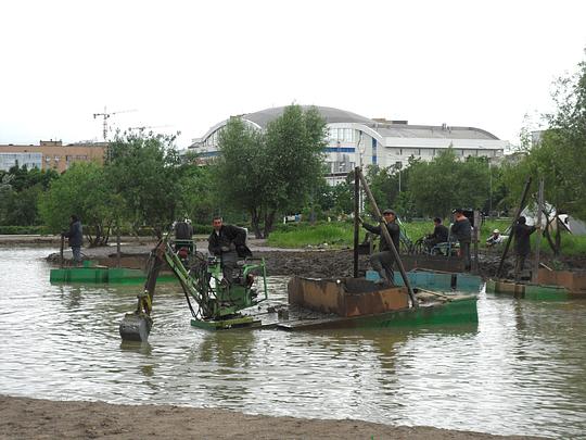 Очистка пруда (Баранки), Россия, Одинцово, народ., nkolbasov, Одинцово, Ново-Спортивная д.6