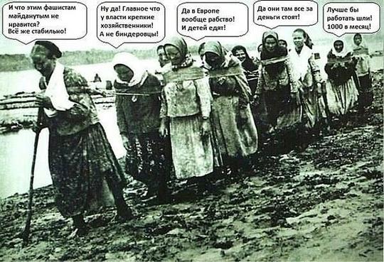 getImage, общий 2, maslov