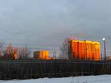 Такая неожиданная раскраска серого утра в Голицыно.