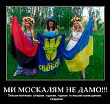9de95311a9a1