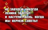 GVo