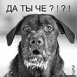 ТыЧО!