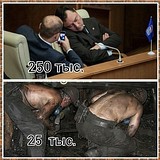 Z5hoSH