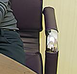 abramova3