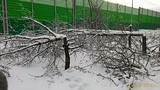 P 20161113 154510 1 p