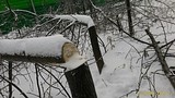 P 20161113 154556 1 p
