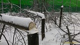 P 20161113 154559 1 p