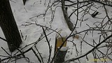 P 20161113 154604 p