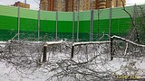P 20161113 154633 1 p