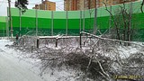 P 20161113 154650 1 p