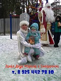 zakaz ded moroz snegurochka