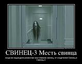 797192 svinets 3 mest svintsa demotivators to