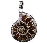 unnamed1