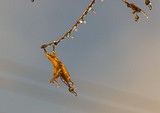 фантастические сюжеты