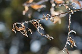 Осень в Одинцовском районе