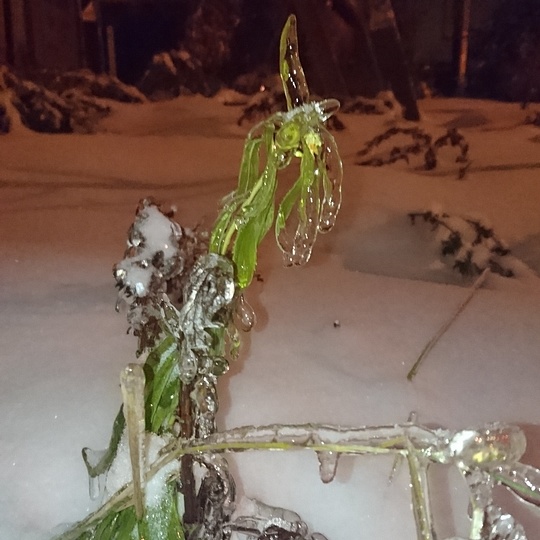 Лесной городок , Irina.Grinchenko, Лесной городок